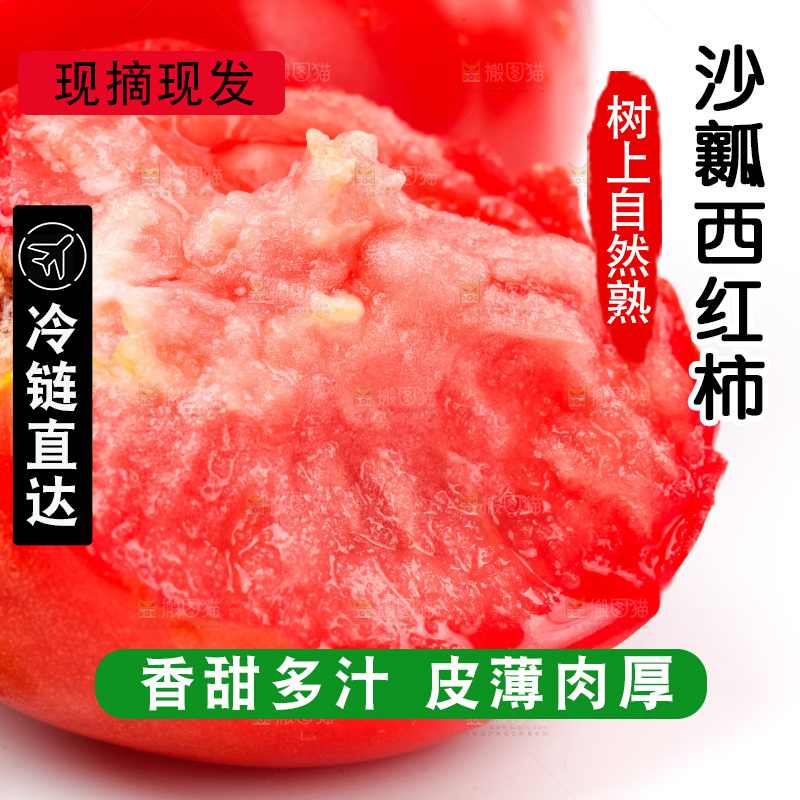 白底上的西红柿