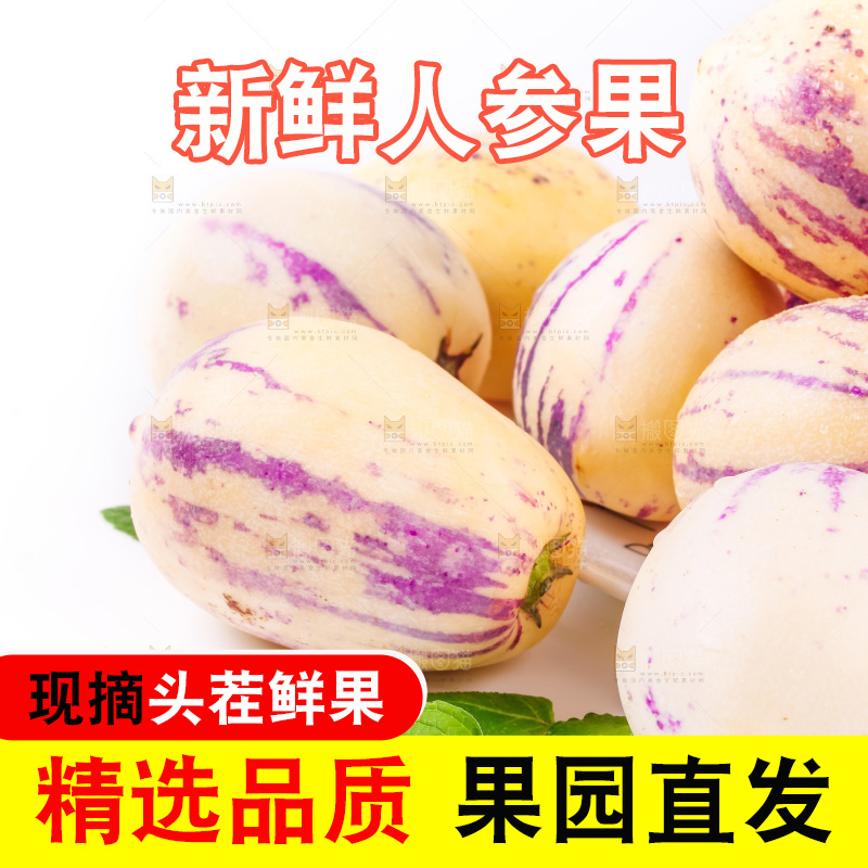 白底上摆放着甘肃民勤人参果