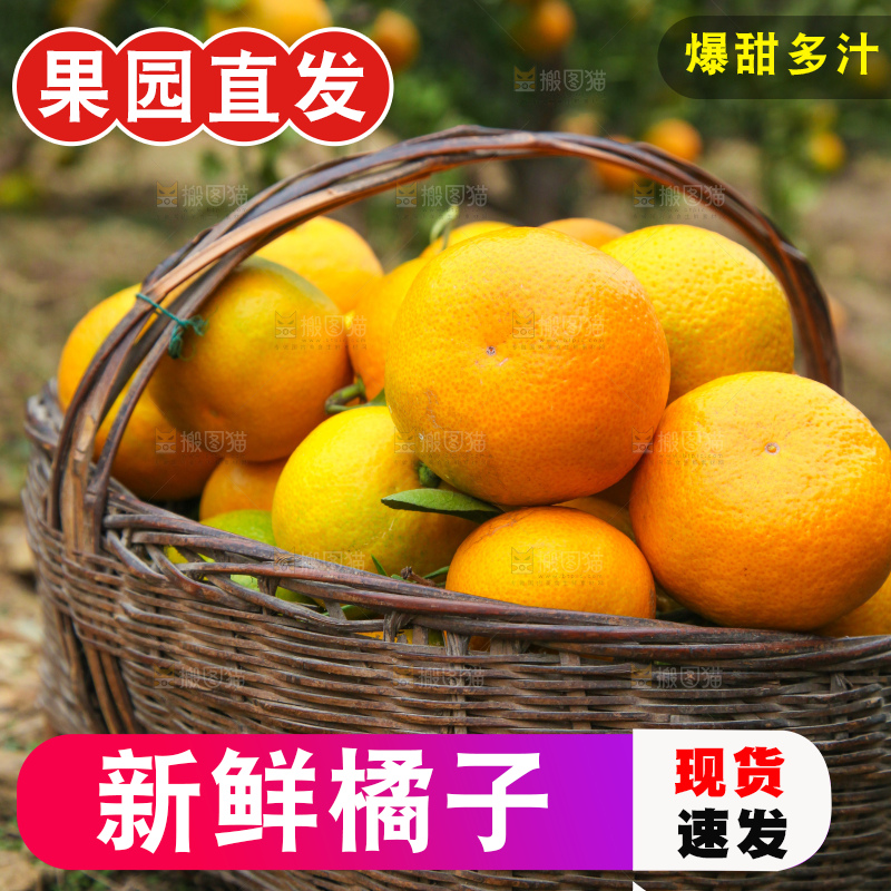 篮子里的蜜橘