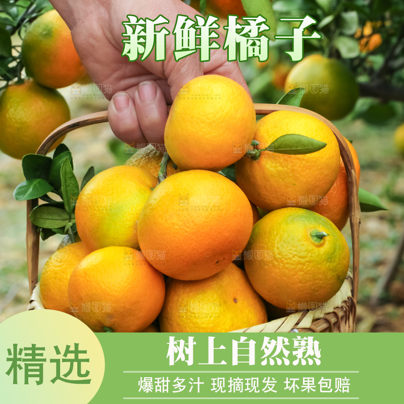 篮子里装着橘子