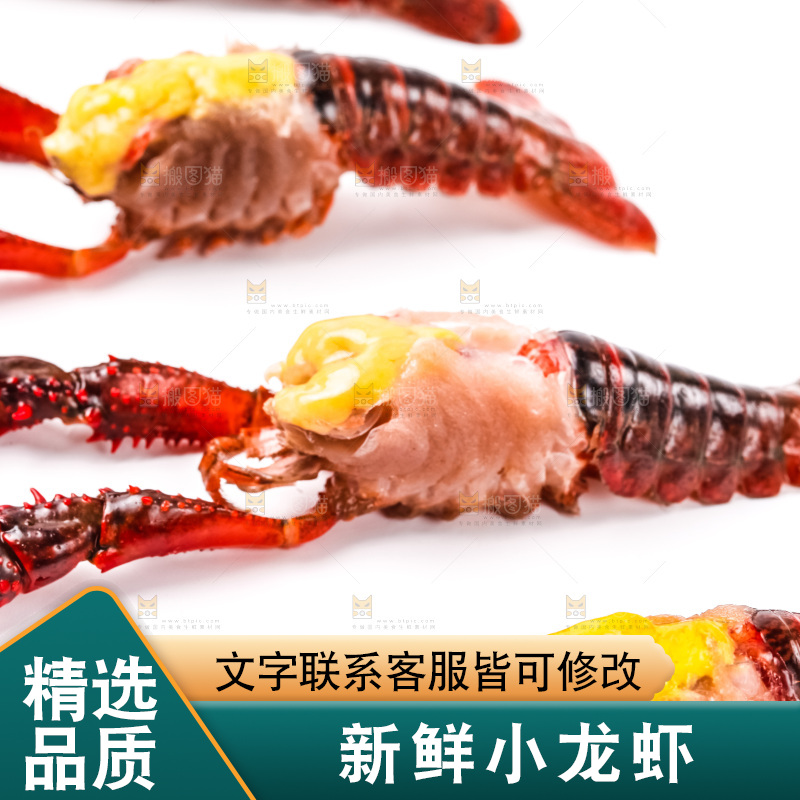 白底上摆放着龙虾