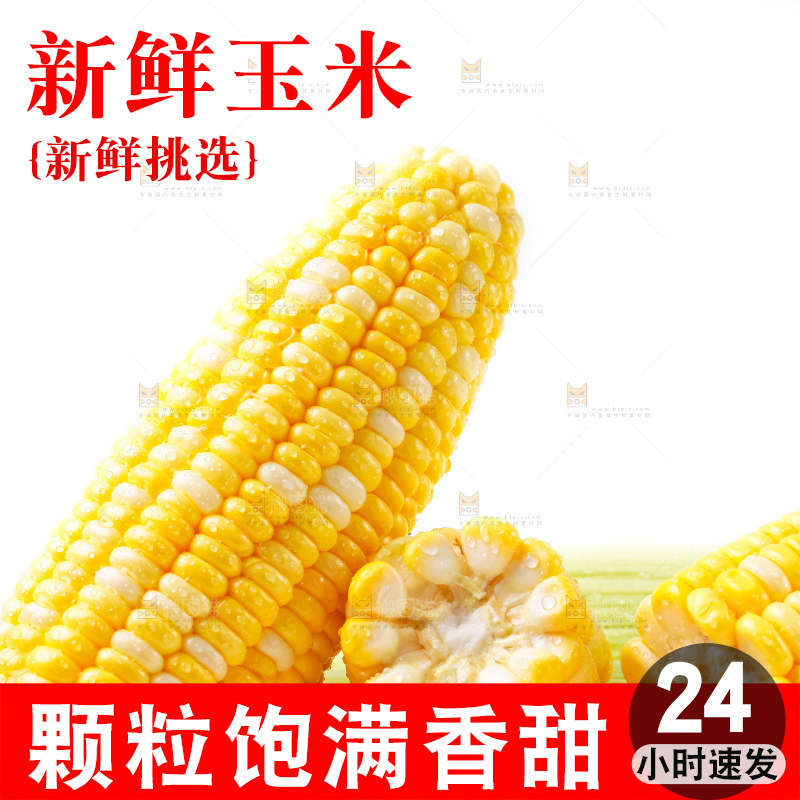 摆放着一堆的甜玉米