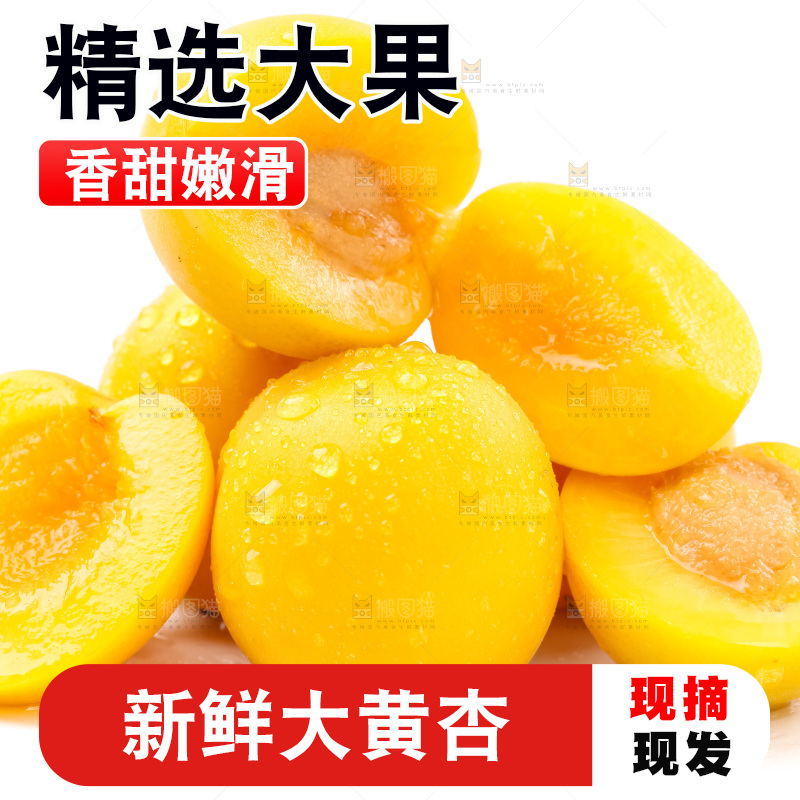 白底上放着大黄杏