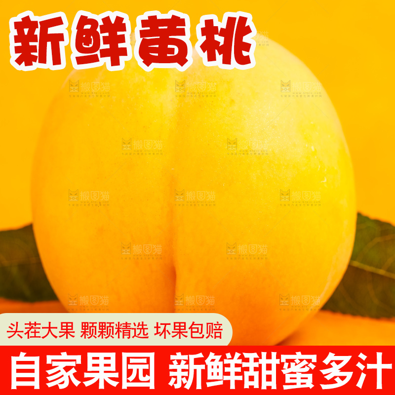 浅底上摆放着山东蒙阴黄桃