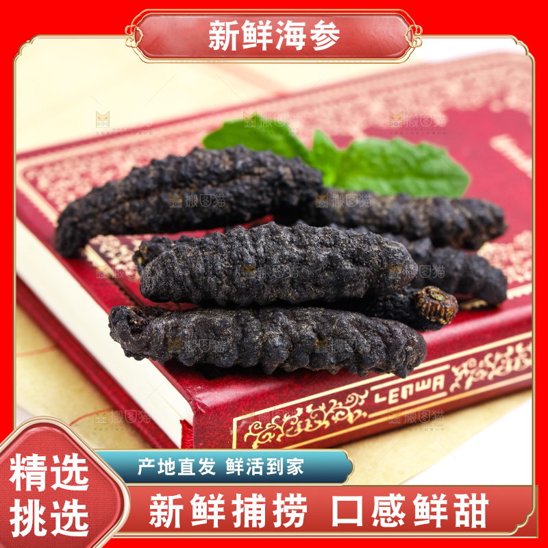 书本上摆放着天然海参