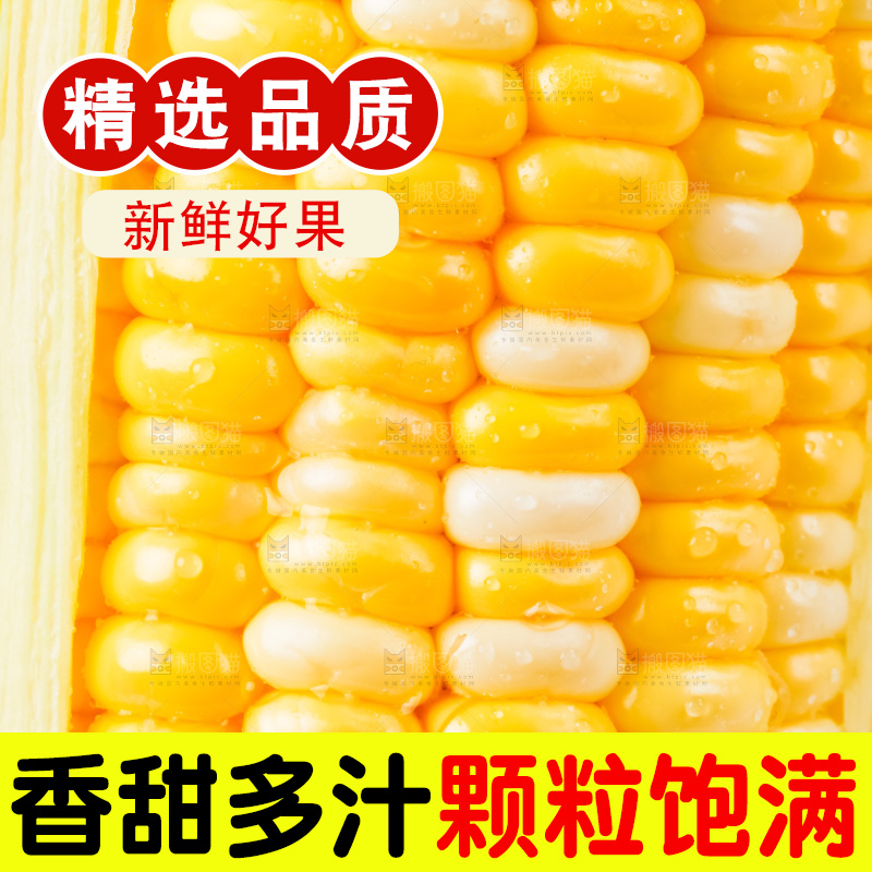 白底上摆放着甜玉米