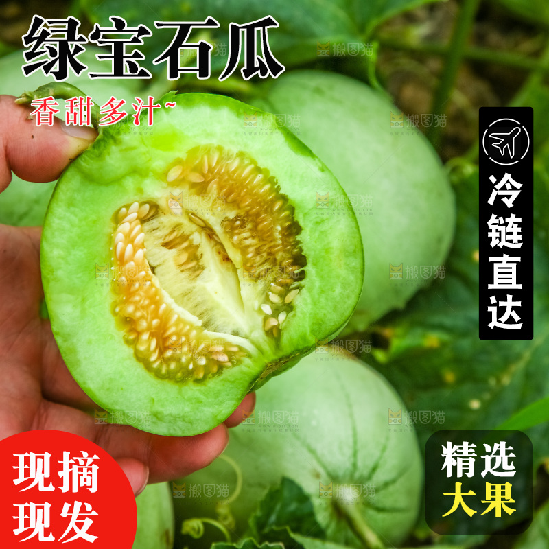 手里拿着绿宝石香瓜
