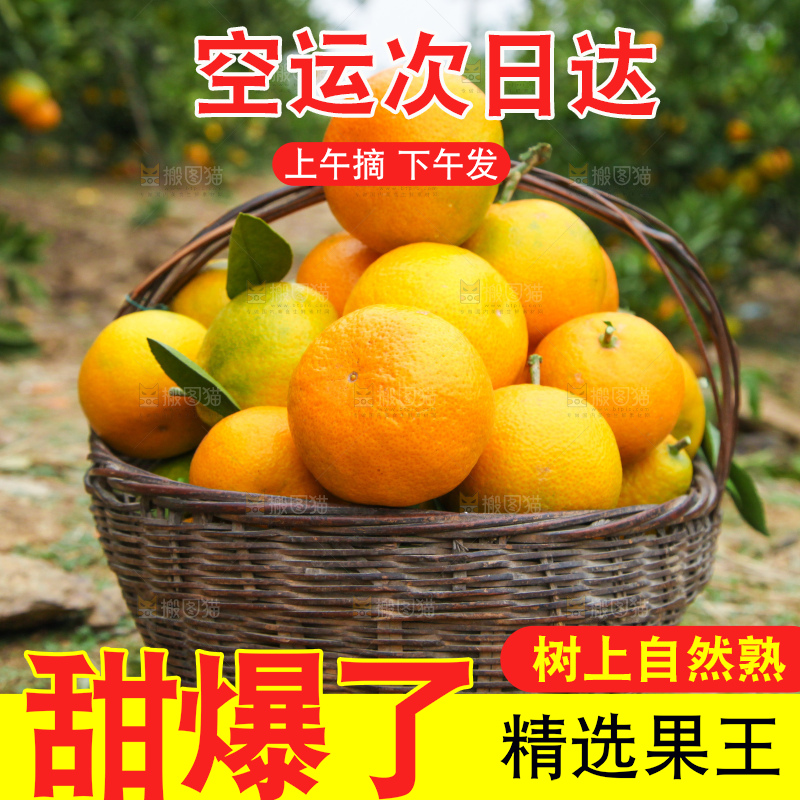 篮子里的蜜橘