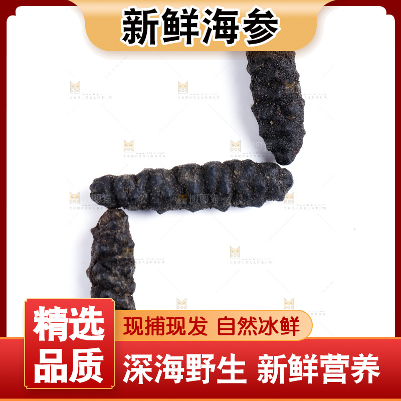白底上放着干海参