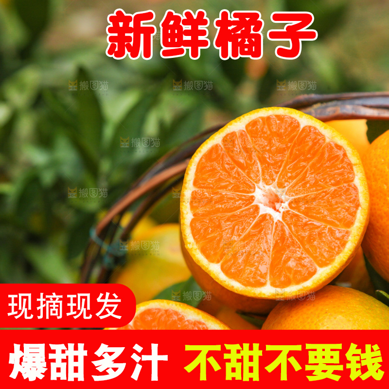 篮子里装着橘子