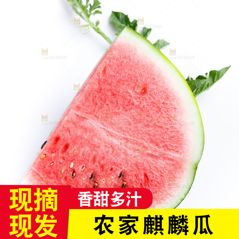白底上摆放着麒麟西瓜