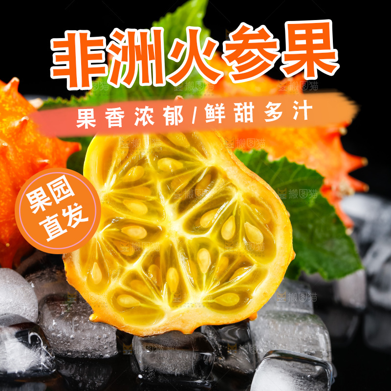 冰块上摆放着刺角瓜