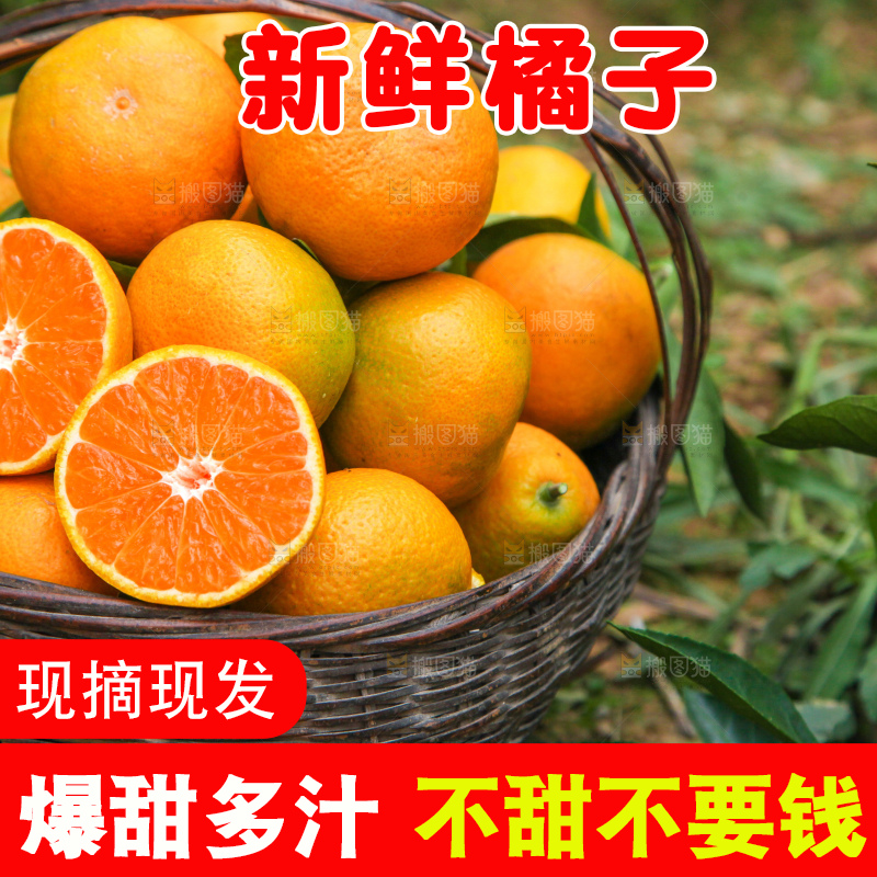 篮子里的新鲜橘子