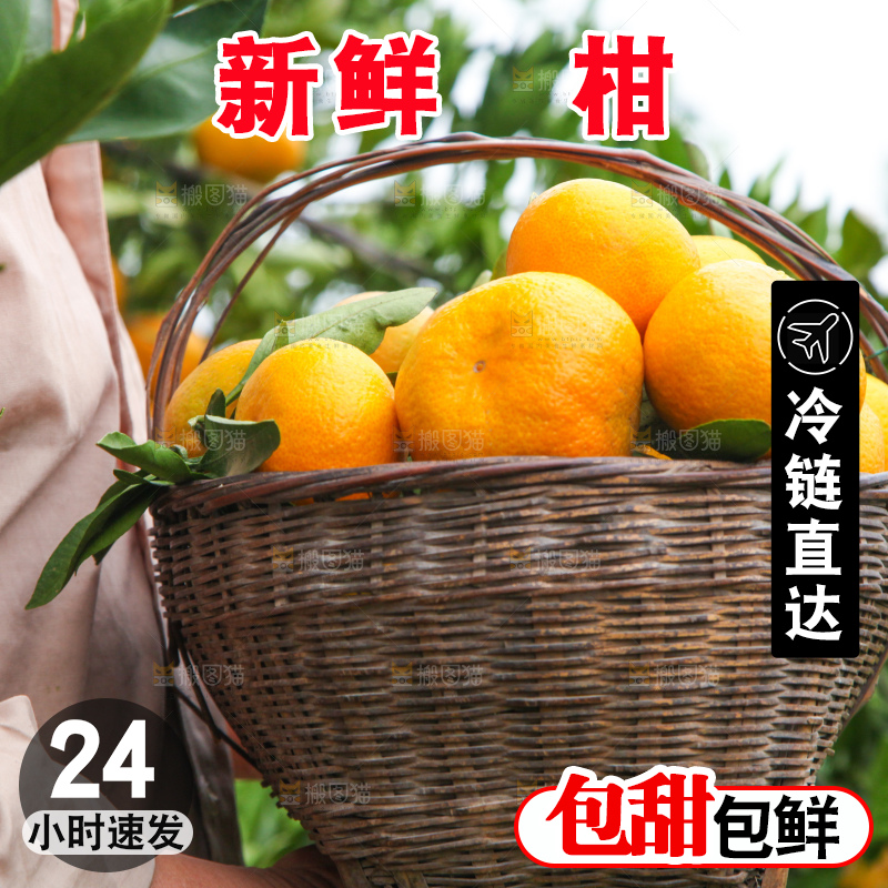 手里拿着一篮子椪柑
