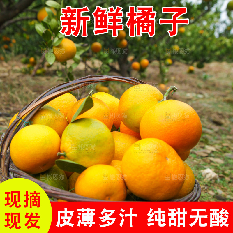 篮子里的蜜橘