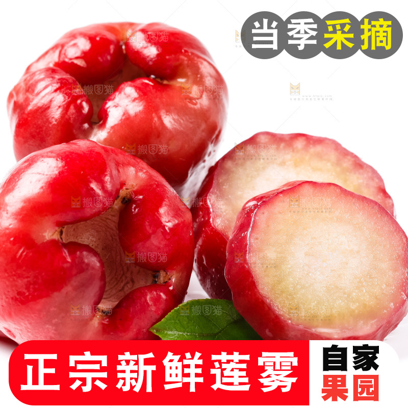 白底上摆放着海南莲雾