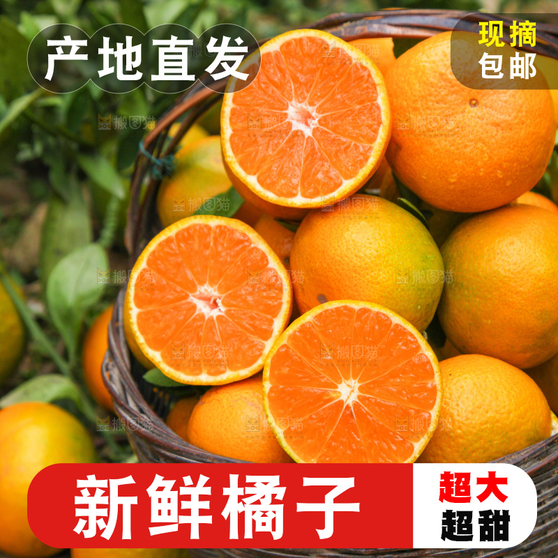 篮子里装着橘子