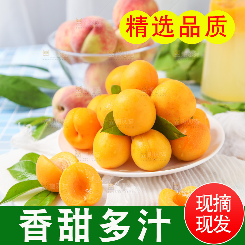 盘子里装着陕西大黄杏