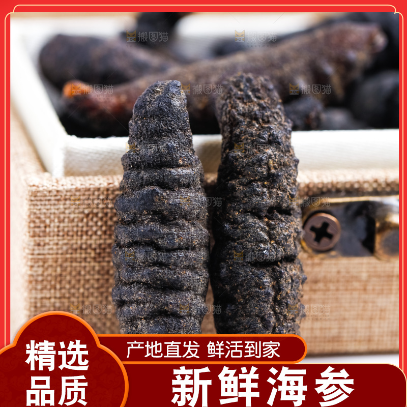 白底上放着海参