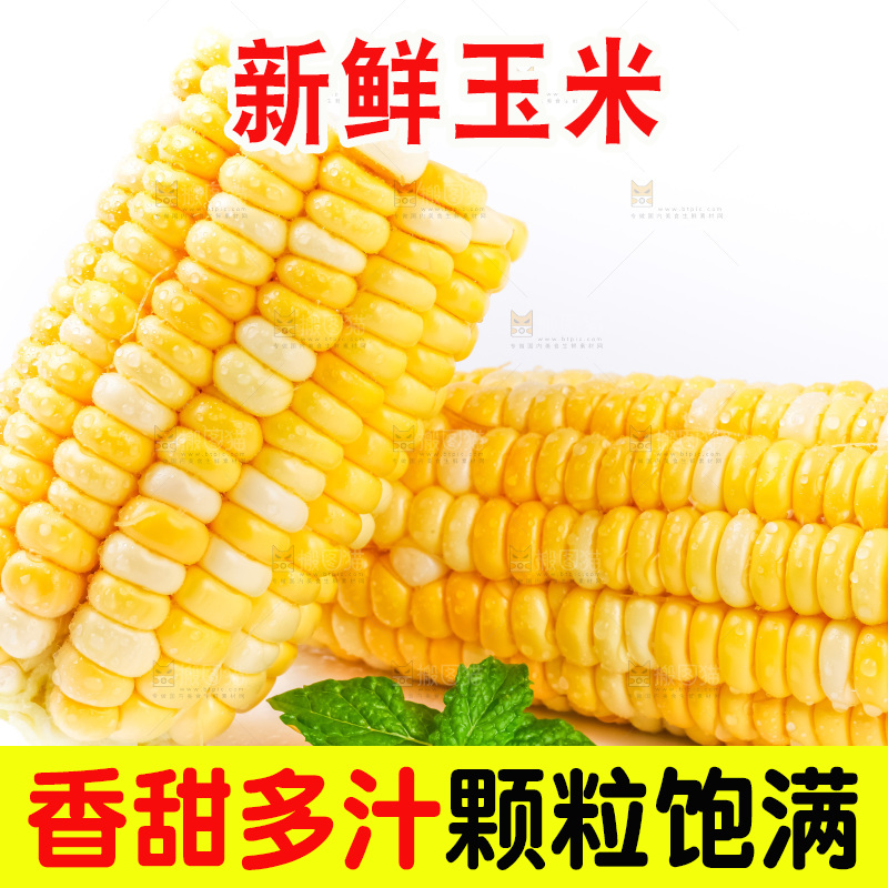 白底上摆放着玉米
