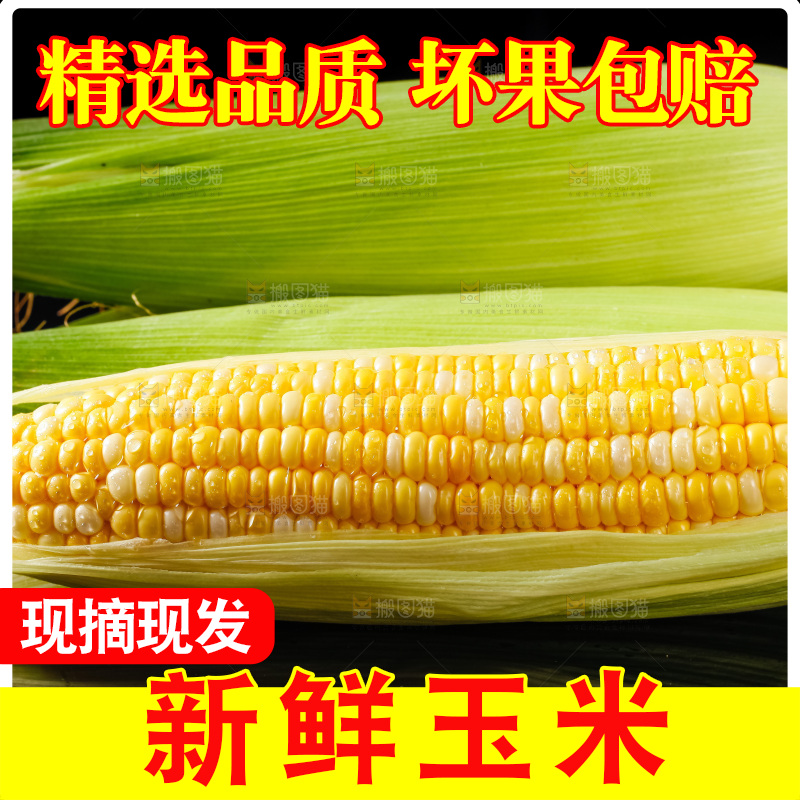 黑底上摆放着玉米棒