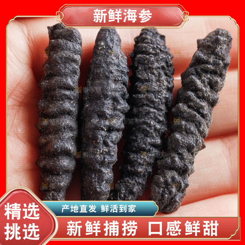 手里拿着干海参