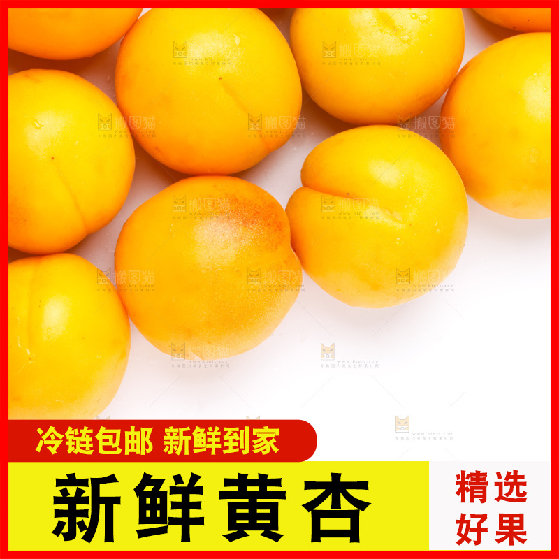 白底上放着大黄杏