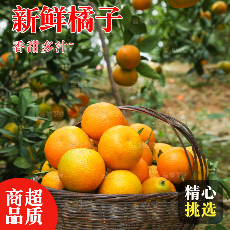 篮子里装着橘子