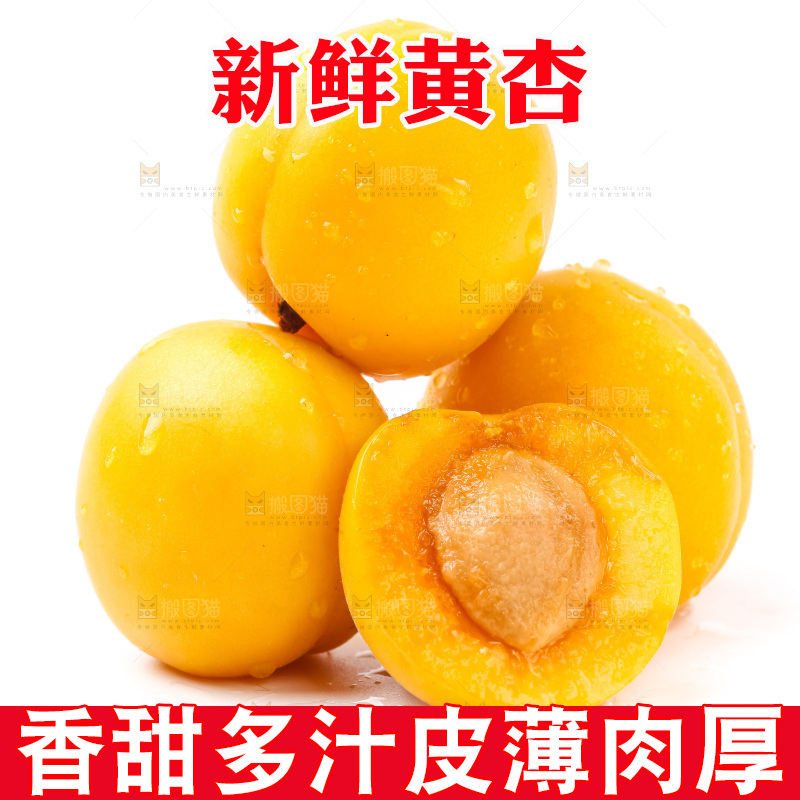 白底上摆放着麦黄杏