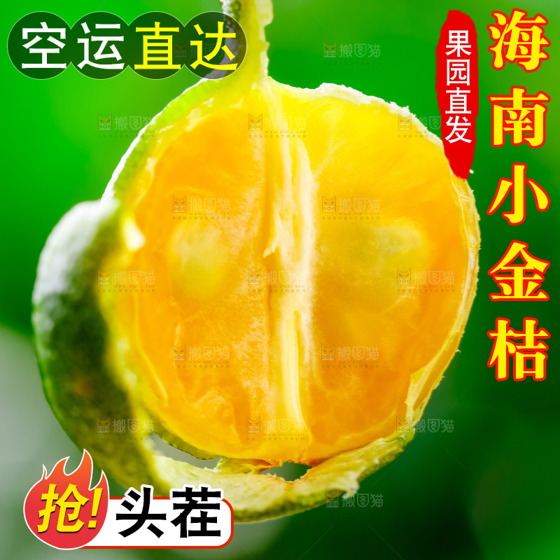 手里拿着小金桔