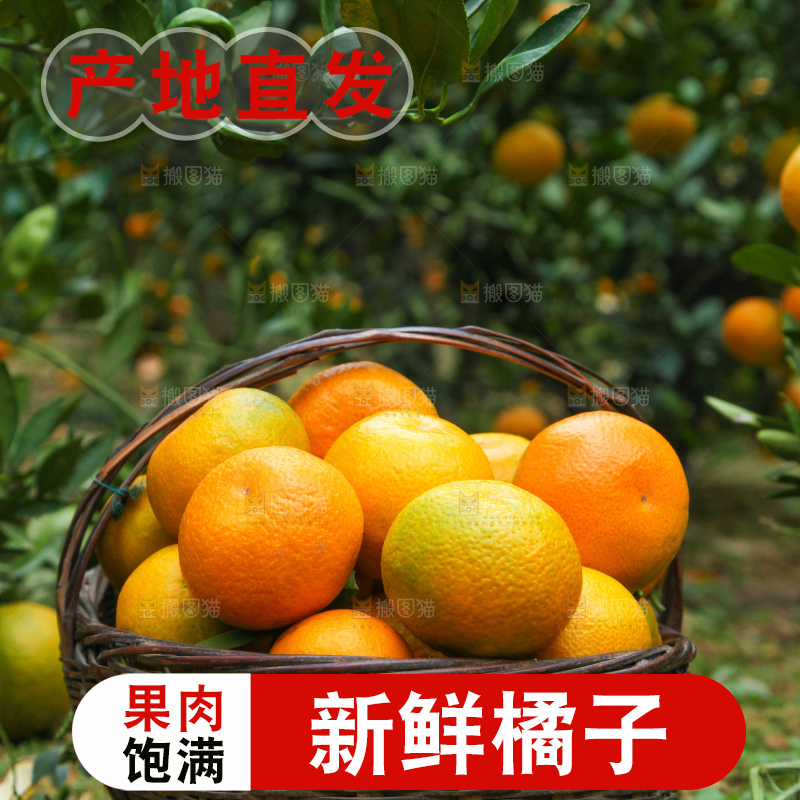 篮子里装着橘子