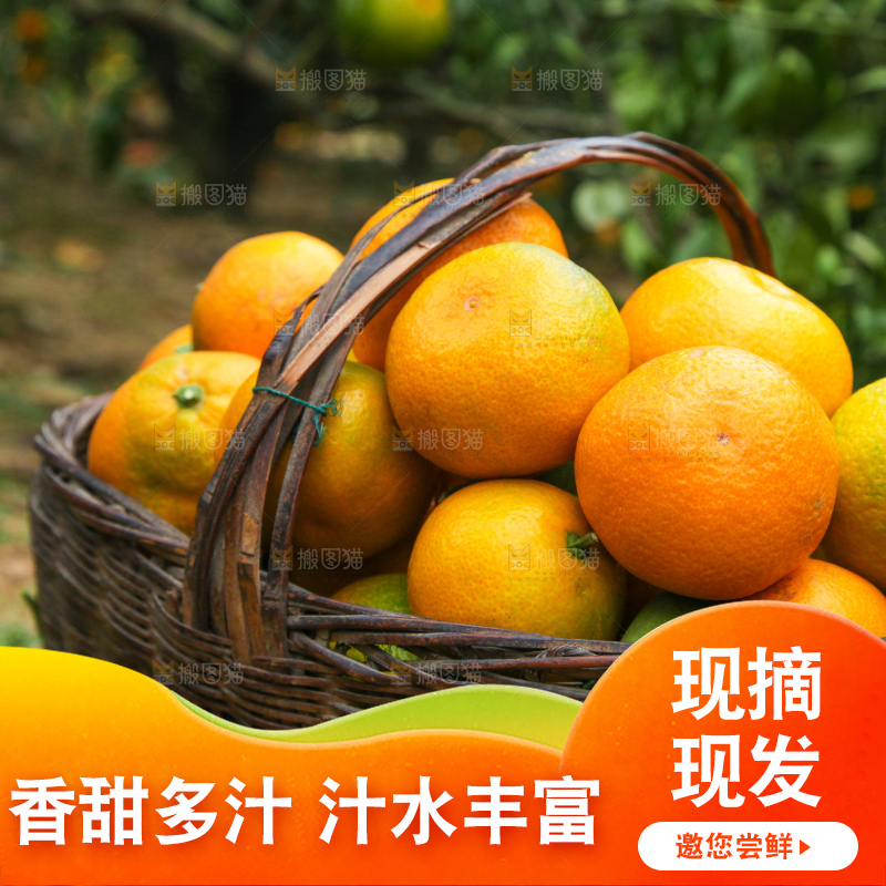 篮子里装着橘子