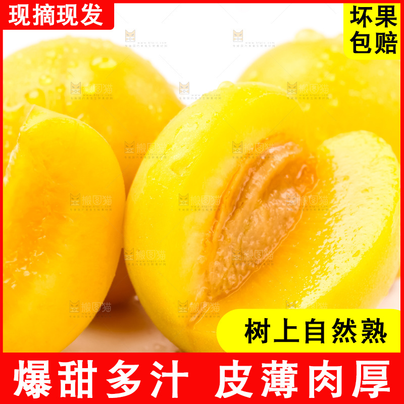 白底上摆放着麦黄杏