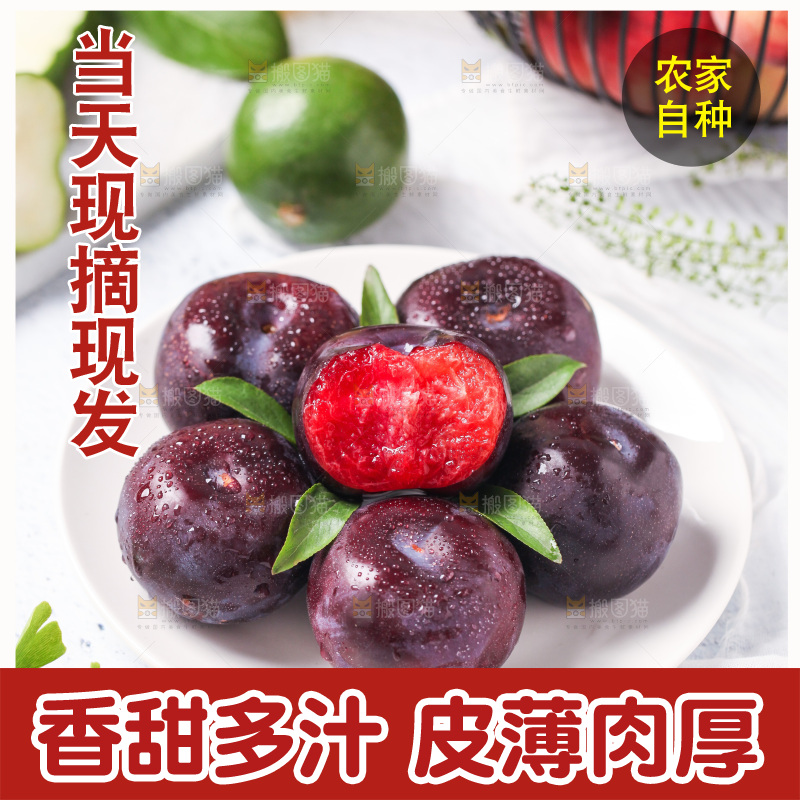 碟子里装着恐龙蛋李