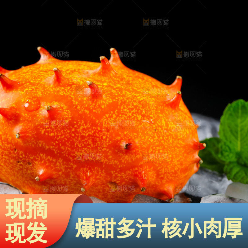 冰块上摆放着刺角瓜