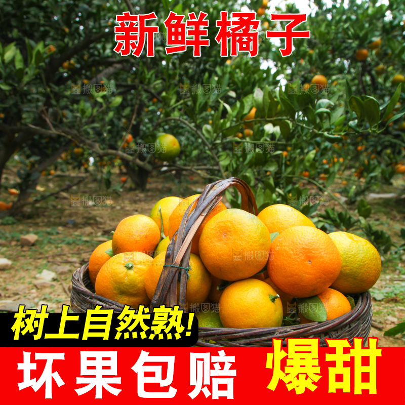篮子里装着橘子