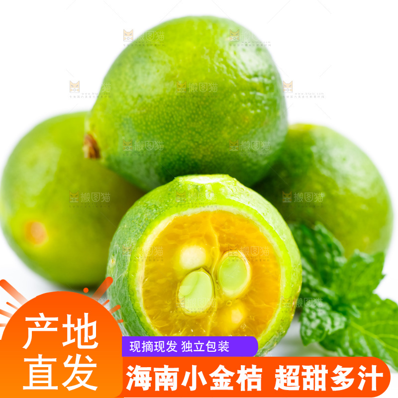 白底上摆放着海南小金桔
