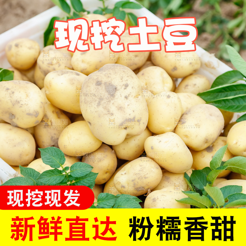 框子里装着黄心土豆