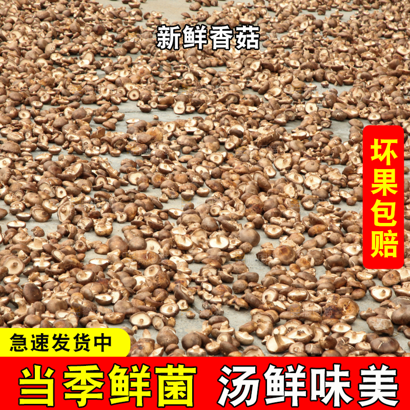 地上晒着香菇