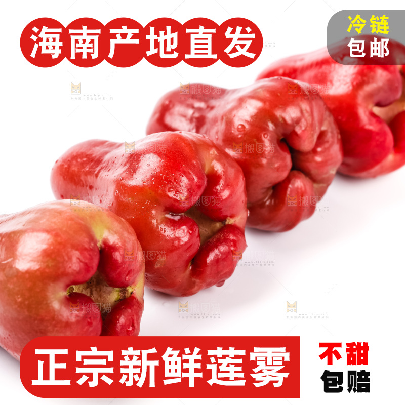 浅底上摆放着黑金刚莲雾