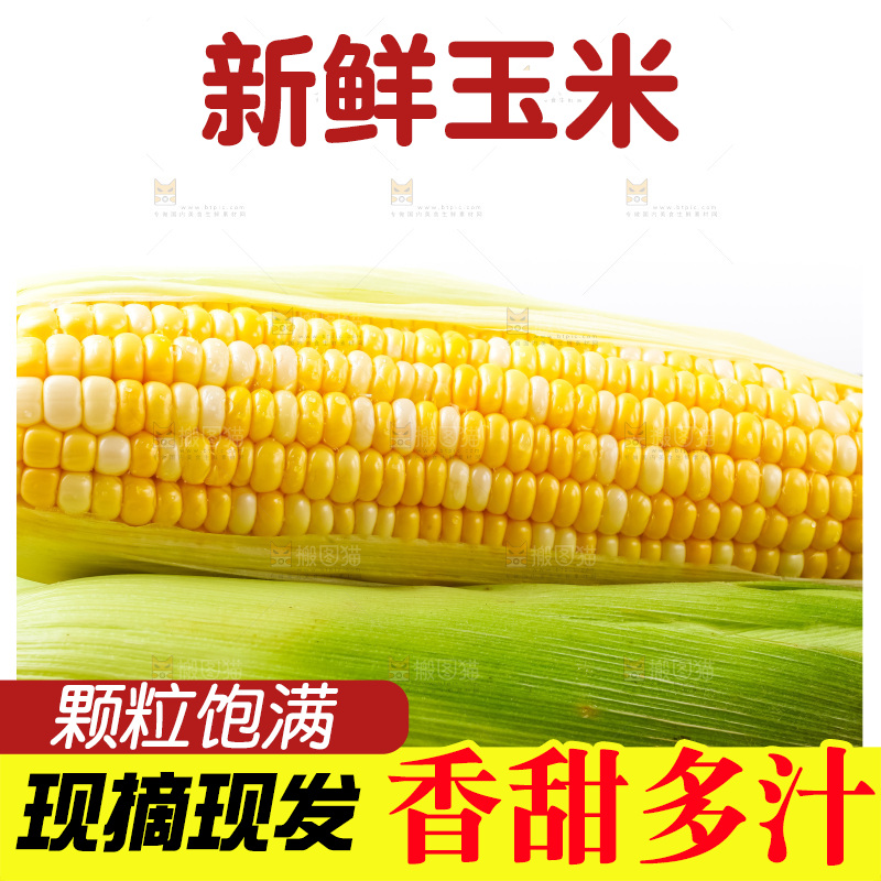篮子里装着玉米
