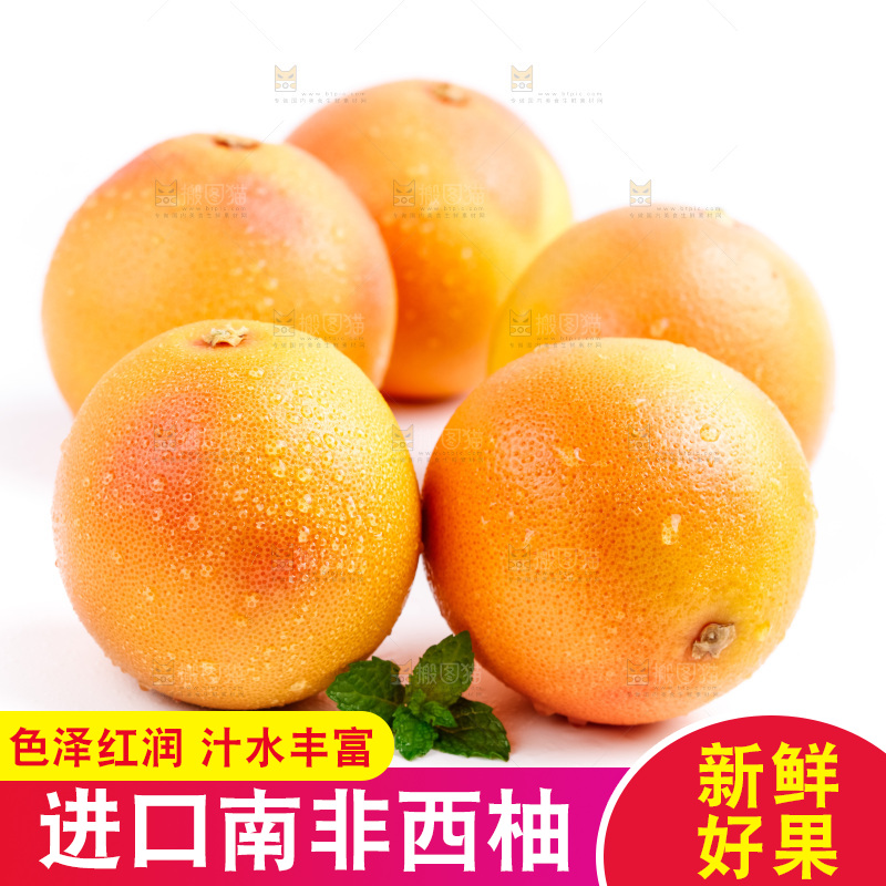 白底上摆放着南非西柚