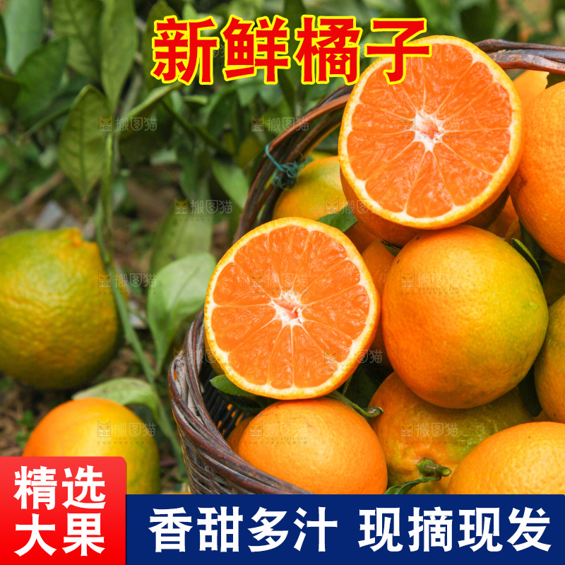 篮子里装着橘子