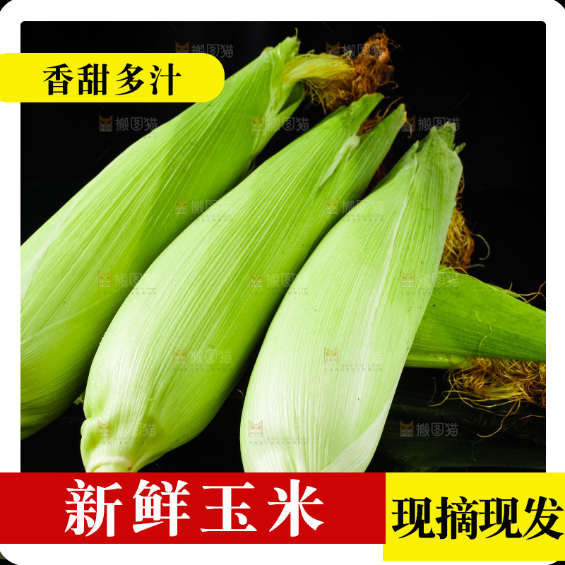 黑底上摆放着玉米棒