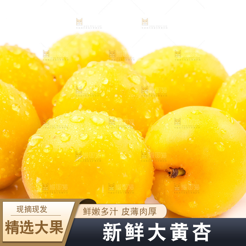 白底上放着大黄杏