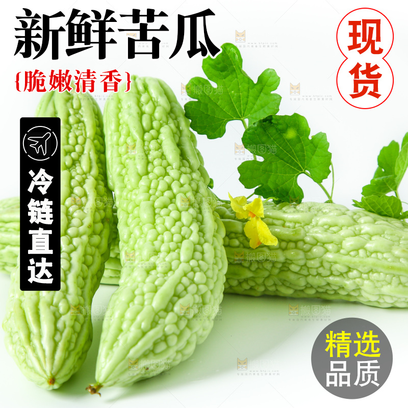 白底上放着的苦瓜