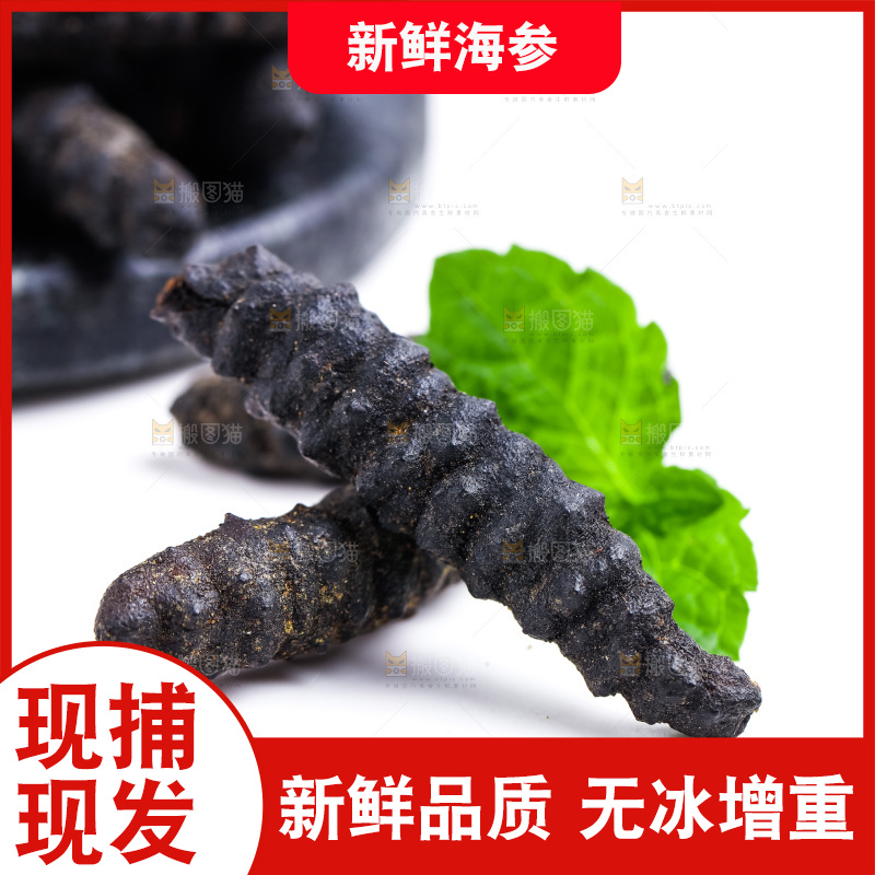 杯子上放着海参
