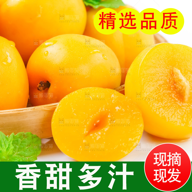 白底上放着黄杏