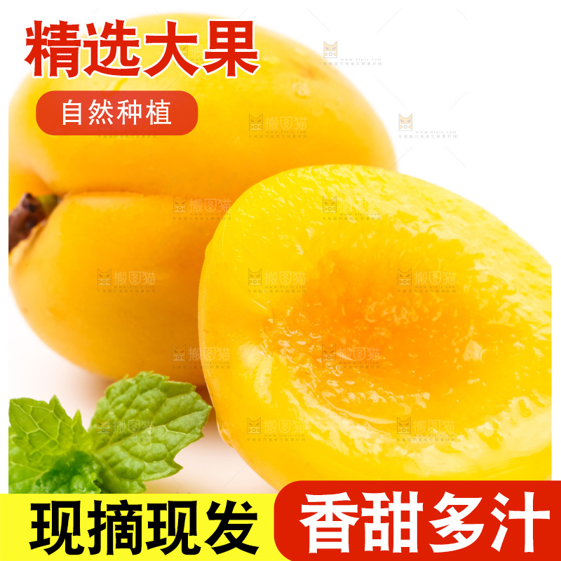 白底上放着大黄杏