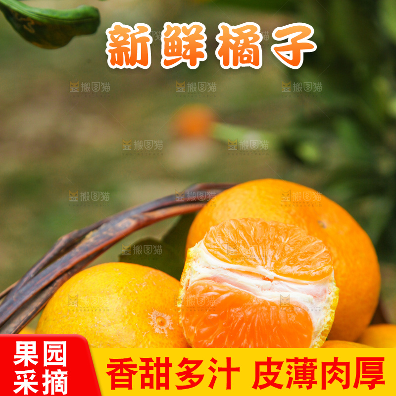篮子里的新鲜橘子
